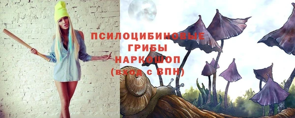амф Абинск